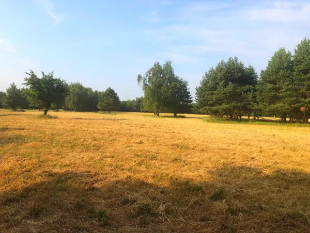 A birtok mozaikos tája