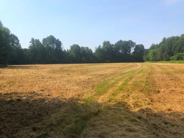 Kezelt területrészek találkozása